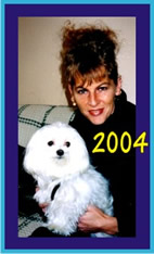 kleine willem kachel www willemhoman nl kleine willem kachel www willemhoman nl