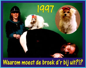 kleine willem kachel www willemhoman nl kleine willem kachel www willemhoman nl